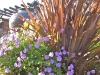 Drought-tolerant Planting