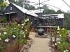 Rose arch and house